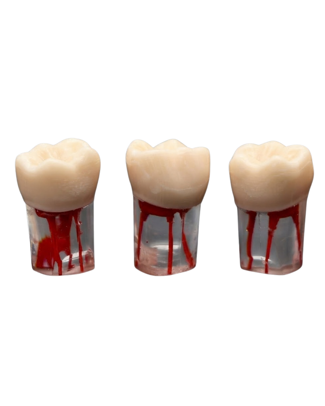 Endo Acrylic Teeth