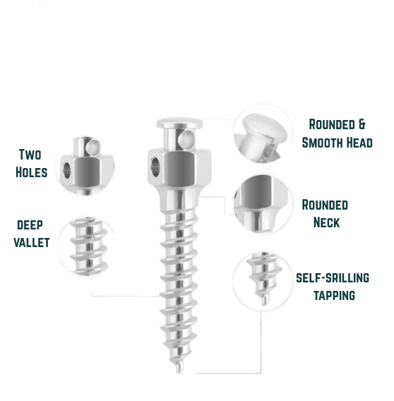 Mini Screw GNI